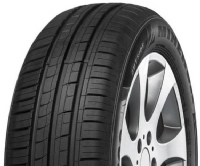Minerva 209 195/65R15  95T
